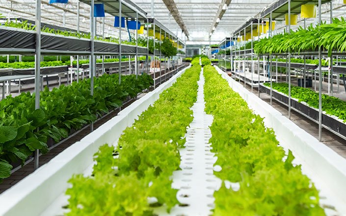 公司的目标和责任