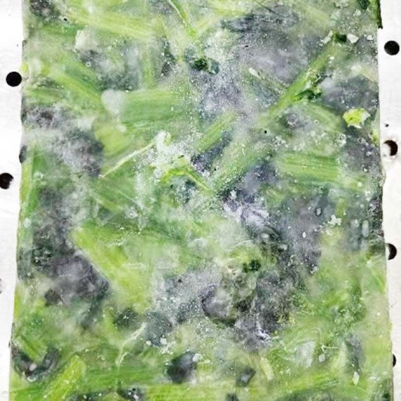 BQF菠菜段 (盘冻）